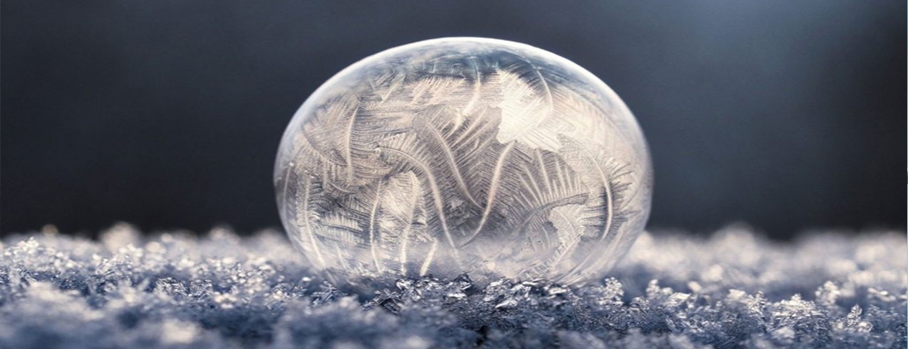 microscopic-view-of-embryo-cells